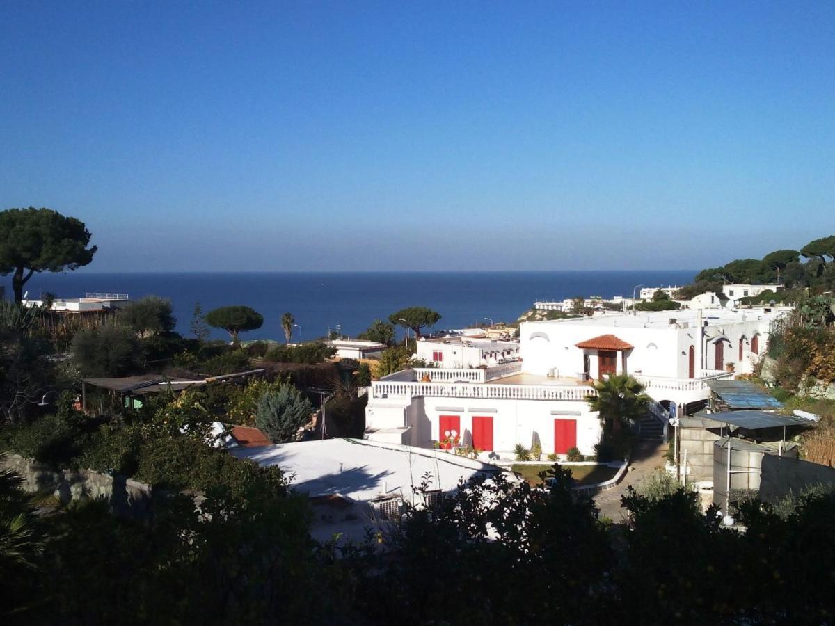 Apartment Ponente By Interhome Forio di Ischia エクステリア 写真